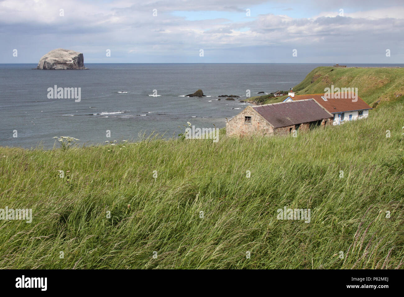 Vogeleiland de Bass Rock in Schotland, Bird Island Die Bass Rock in Schottland Stockfoto