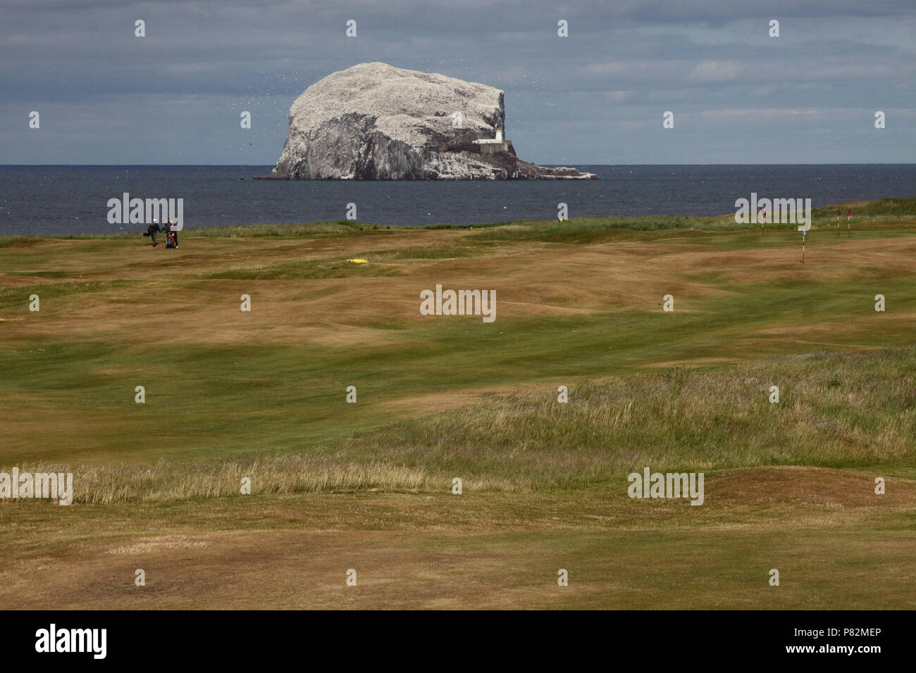 Vogeleiland de Bass Rock in Schotland, Bird Island Die Bass Rock in Schottland Stockfoto