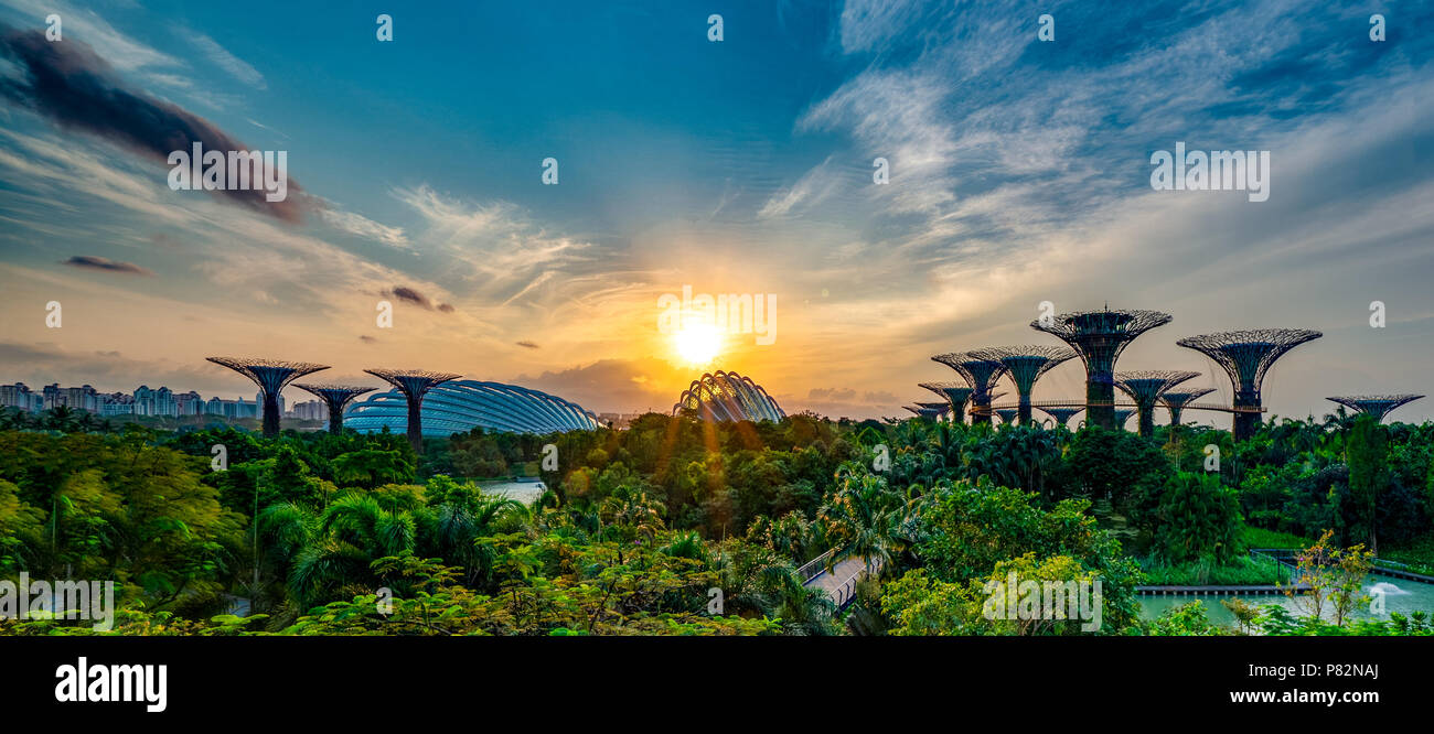 Ansicht des Supertree Grove und Wintergärten an Gärten durch die Bucht bei Sonnenaufgang im Stadt-staat Singapur Stockfoto