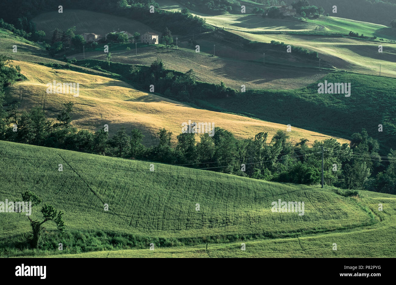 Provinz Bologna Landschaft im Sommer. Stockfoto