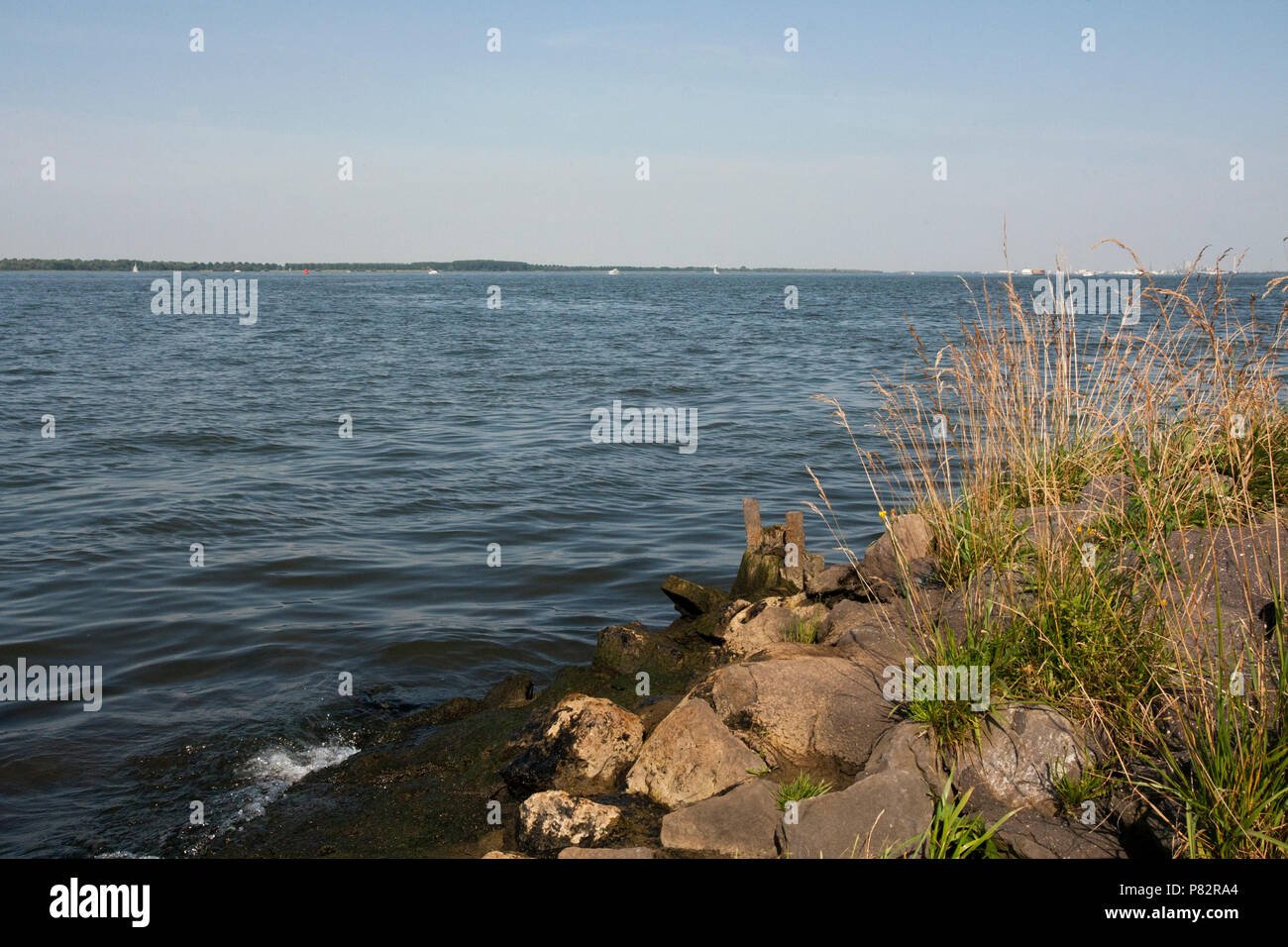 Hollands Diep, Niederlande Stockfoto
