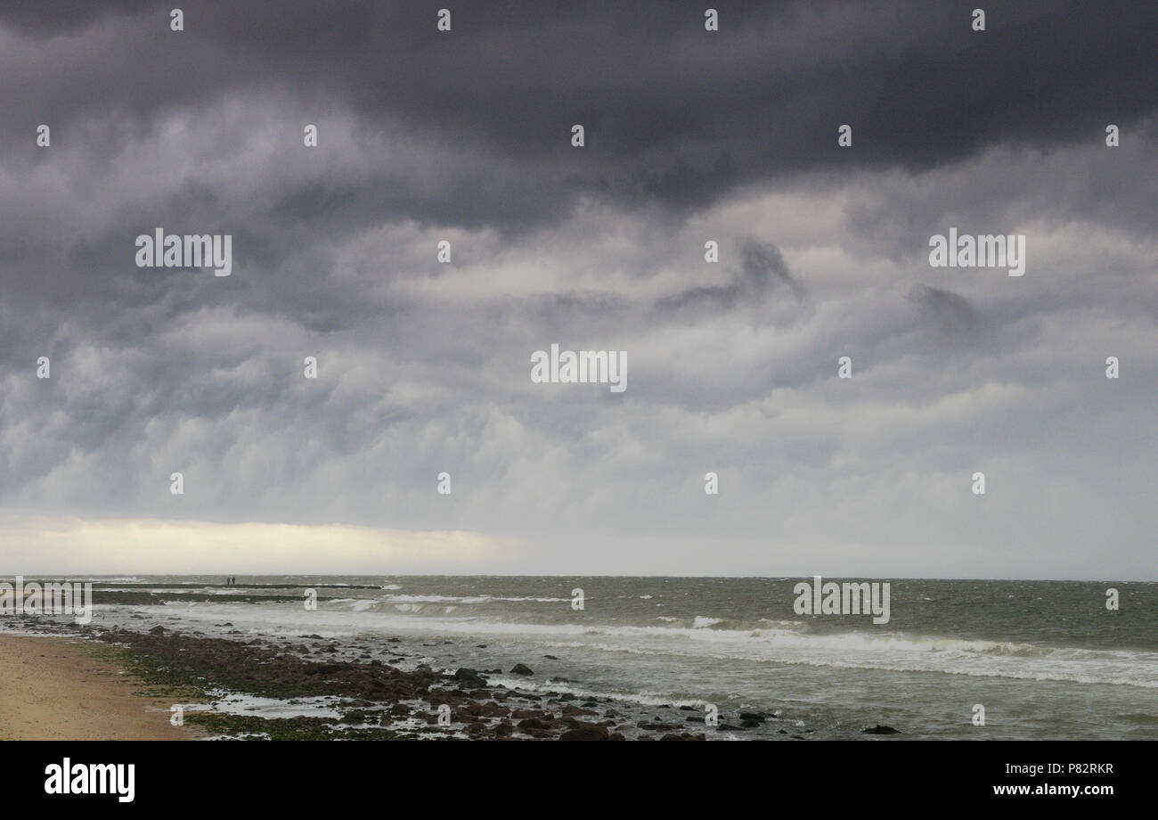 Nordseeküste Niederlande Stockfoto