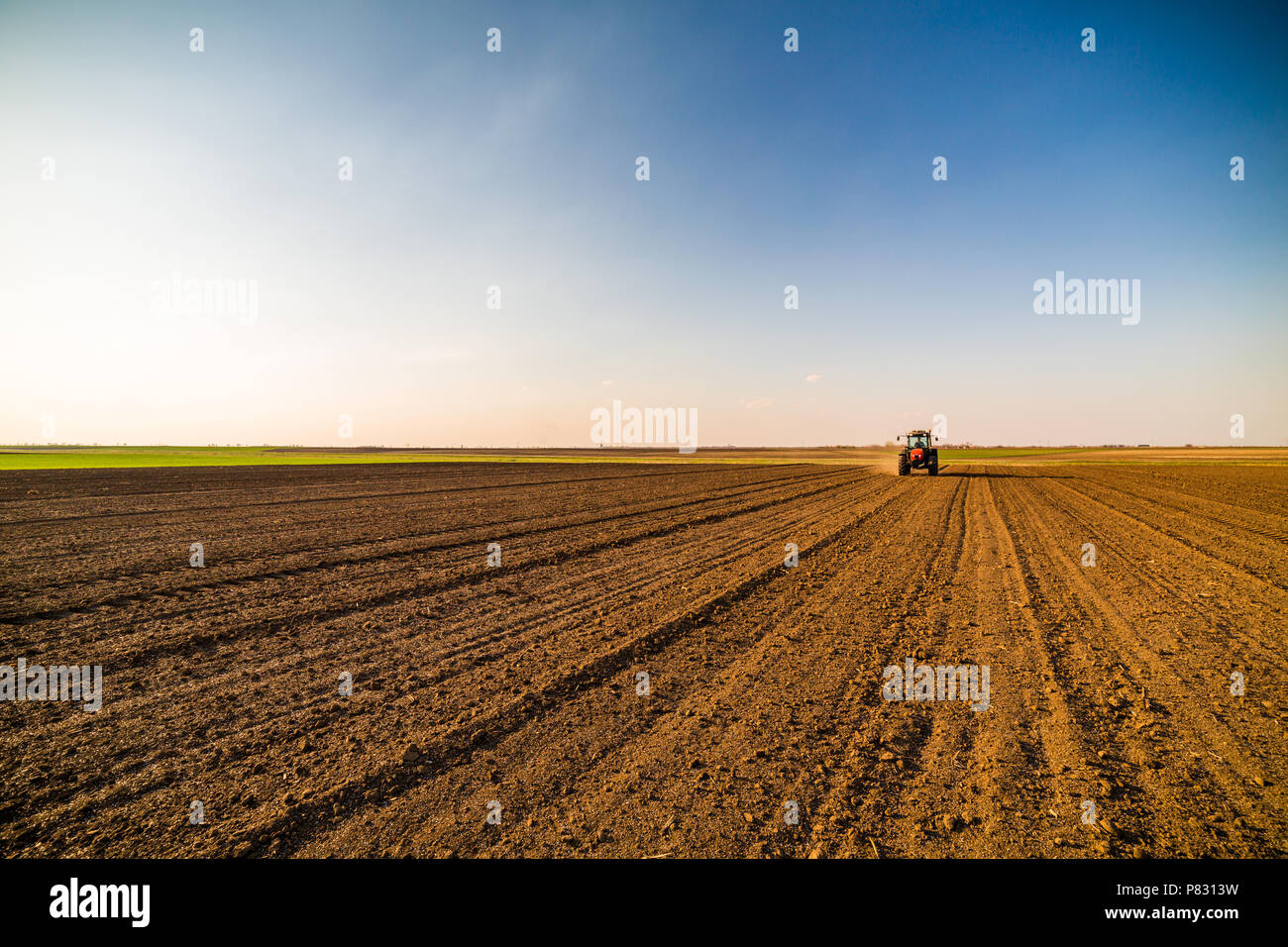 Farmer Ackerland mit Stickstoff, Phosphor, KaliumDünger düngen