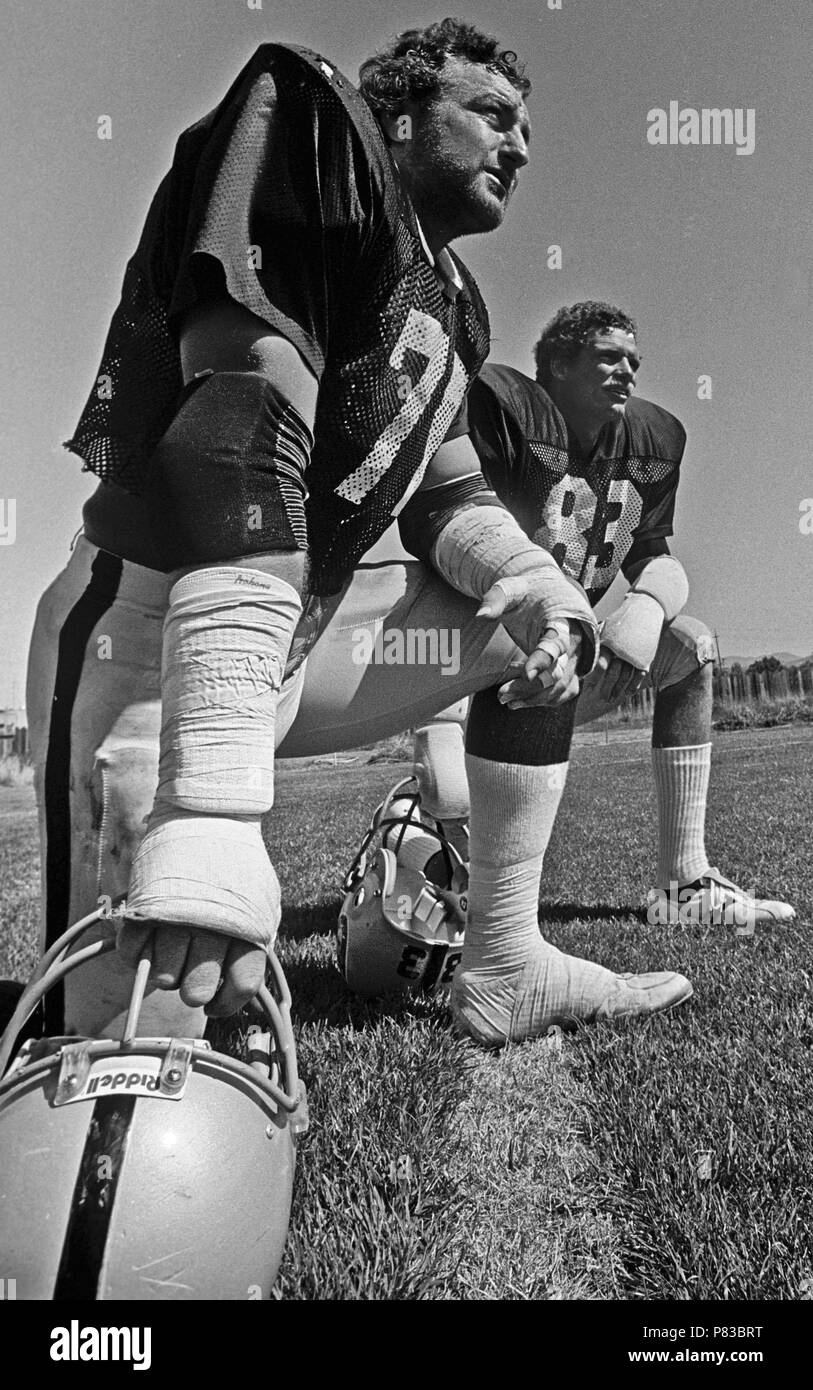 Santa Rosa, Kalifornien, USA. 10 Aug, 1982. Oakland Raiders Trainingslager August 10, 1982 El Rancho Tropicana, Santa Rosa, Kalifornien. Oakland Raiders linebacker John Matuszak (72) und linebacker Ted Hendricks Credit: Al Golub/ZUMA Draht/Alamy leben Nachrichten Stockfoto