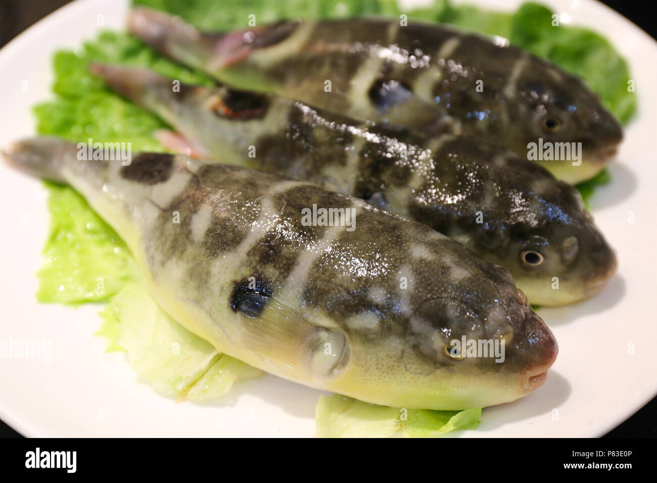 Guangzhou, Guangzhou, China. 9. Juli 2018. Guangzhou, China - verschiedene Meeresfrüchte und Sashimi kann an einem Eintopf Restaurant in Guangzhou, Provinz Guangdong im Süden Chinas gesehen werden. Credit: SIPA Asien/ZUMA Draht/Alamy leben Nachrichten Stockfoto