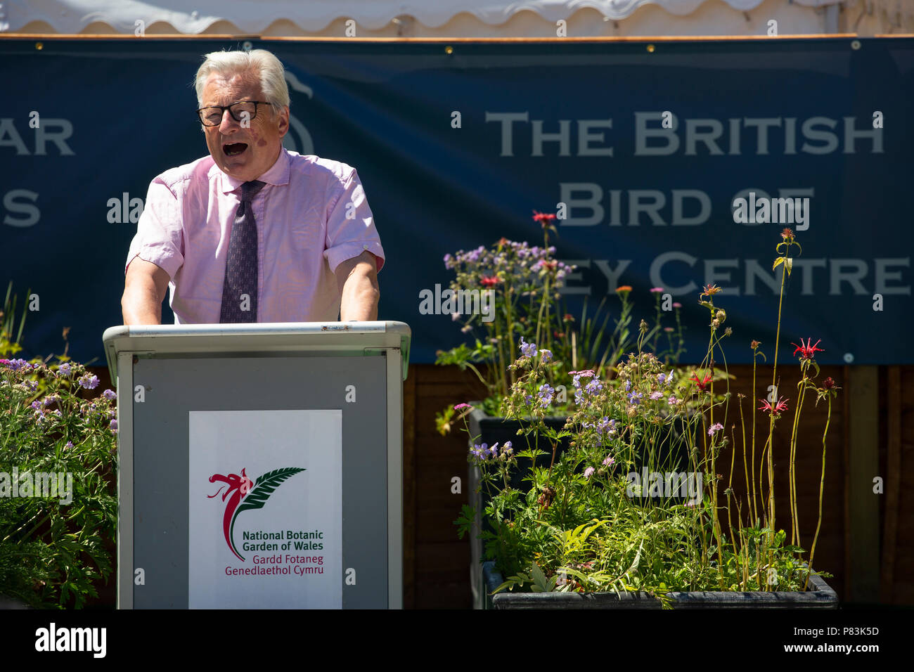 Herr Dafydd Elis-Thomas bin, walisische Regierung Minister für Kultur, Tourismus und Sport spricht bei der offiziellen Eröffnung des Britischen Raubvogel Centre. Stockfoto