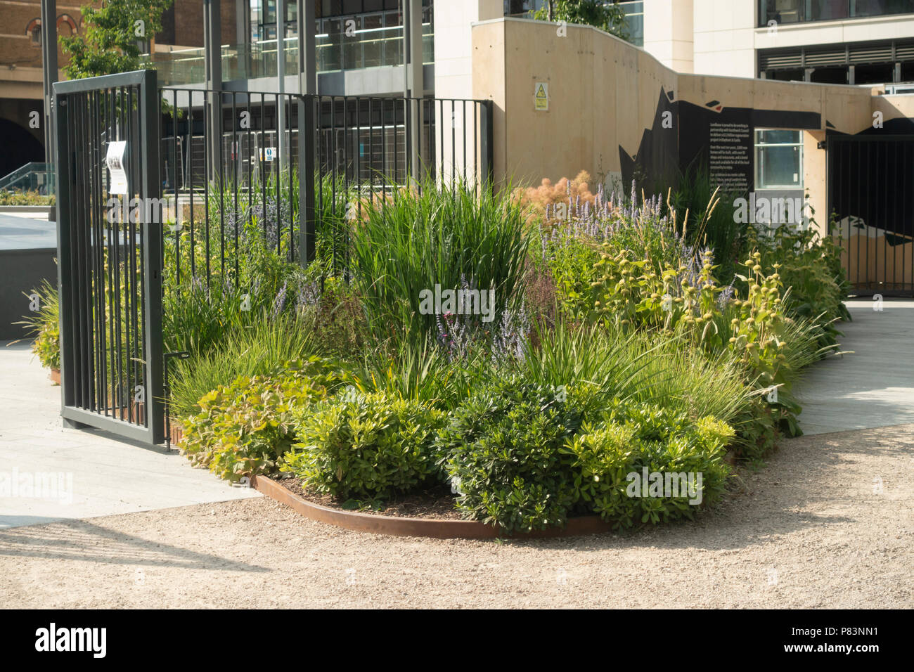 Ein wild-freundliche Blume Rahmen innen einen Haupteingang der Phase eins der Elephant Park, Elephant und Castle, London, England, Großbritannien Stockfoto