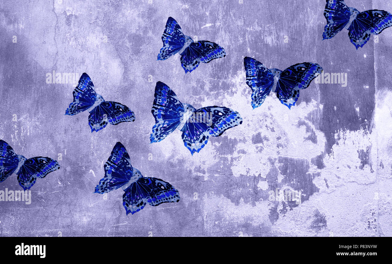 Digitale Hintergrund Kunst der Grafik Schmetterlinge und alte Steinmauer mit Photo Collage Technik gemacht. Stockfoto