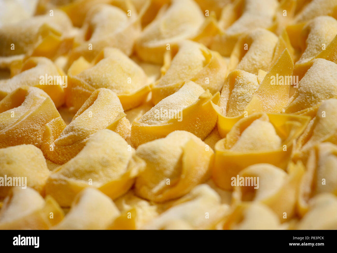 Reihen von Raw ravioli Parzellen, Bologna, Italien, Europa Stockfoto