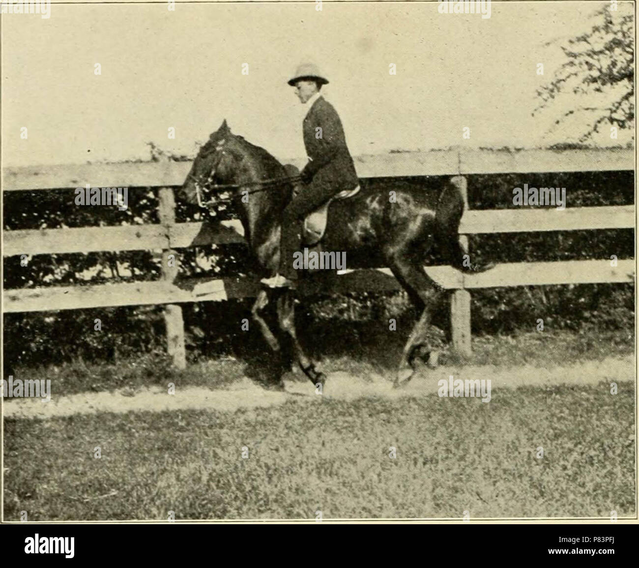 "Reiten und Fahren" (1905) Stockfoto