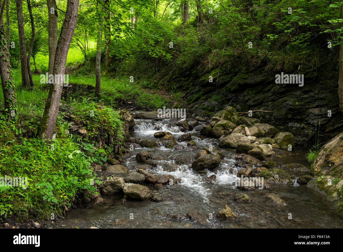 Fluss Espinalba rinnt über Steine in der Nähe des Flusses Ter Camprodon in den katalanischen Pyrenäen, Spanien zu verbinden Stockfoto