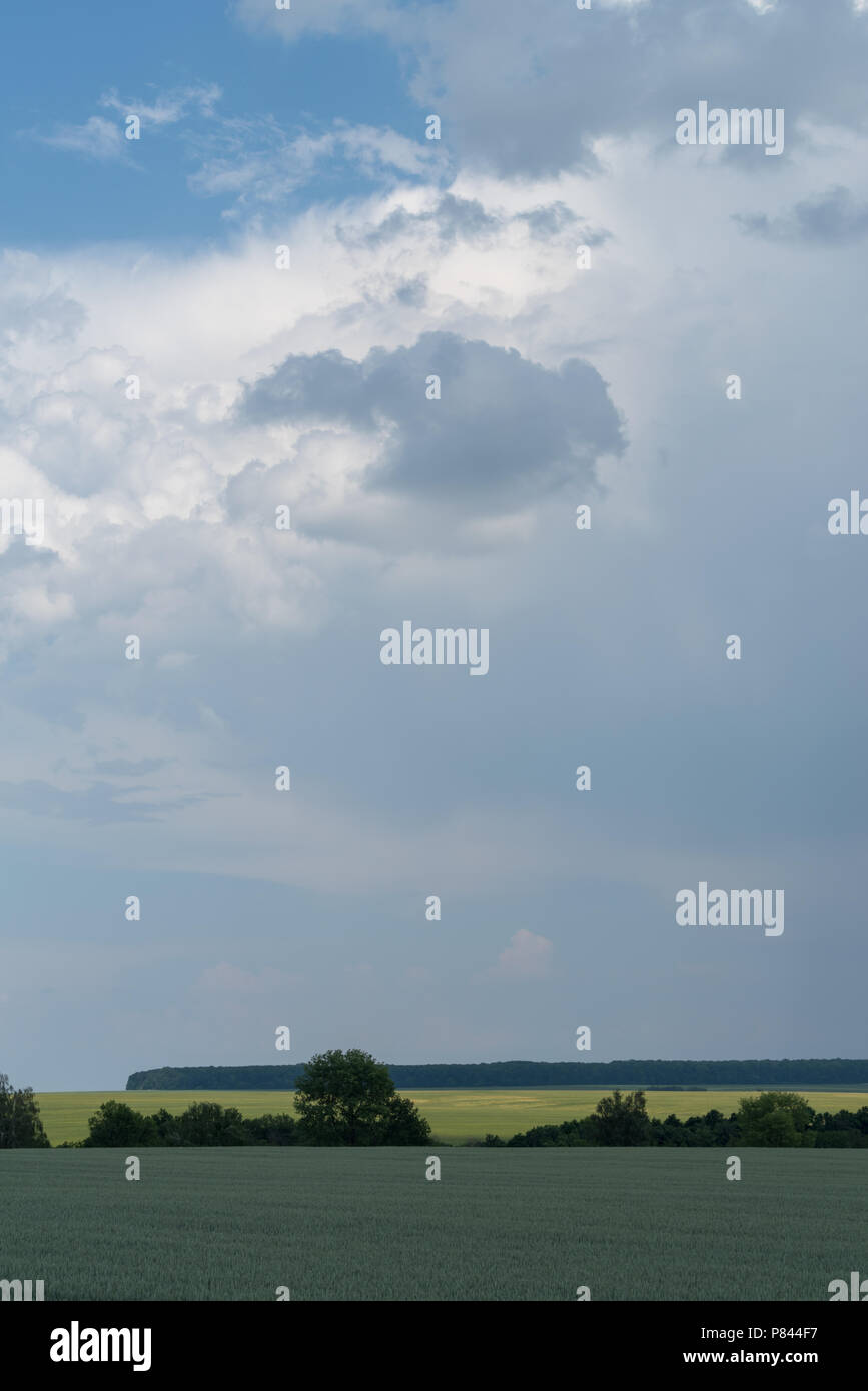 Gewitterwolken bedeckt Landschaft, Georgios Tovtry Nationalpark, Podolien anbrachte Region der Ukraine Stockfoto