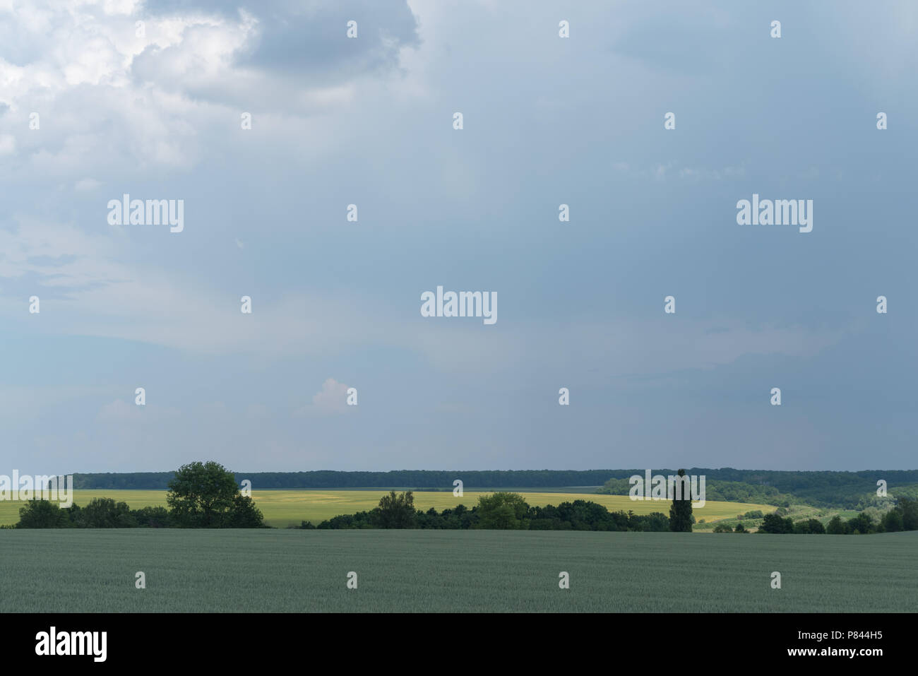 Gewitterwolken bedeckt Landschaft, Georgios Tovtry Nationalpark, Podolien anbrachte Region der Ukraine Stockfoto