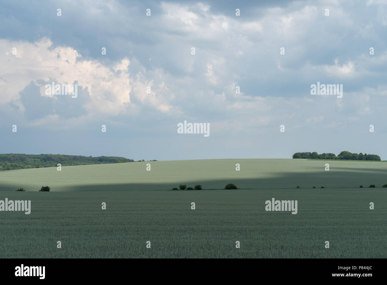 Gewitterwolken bedeckt Landschaft, Georgios Tovtry Nationalpark, Podolien anbrachte Region der Ukraine Stockfoto