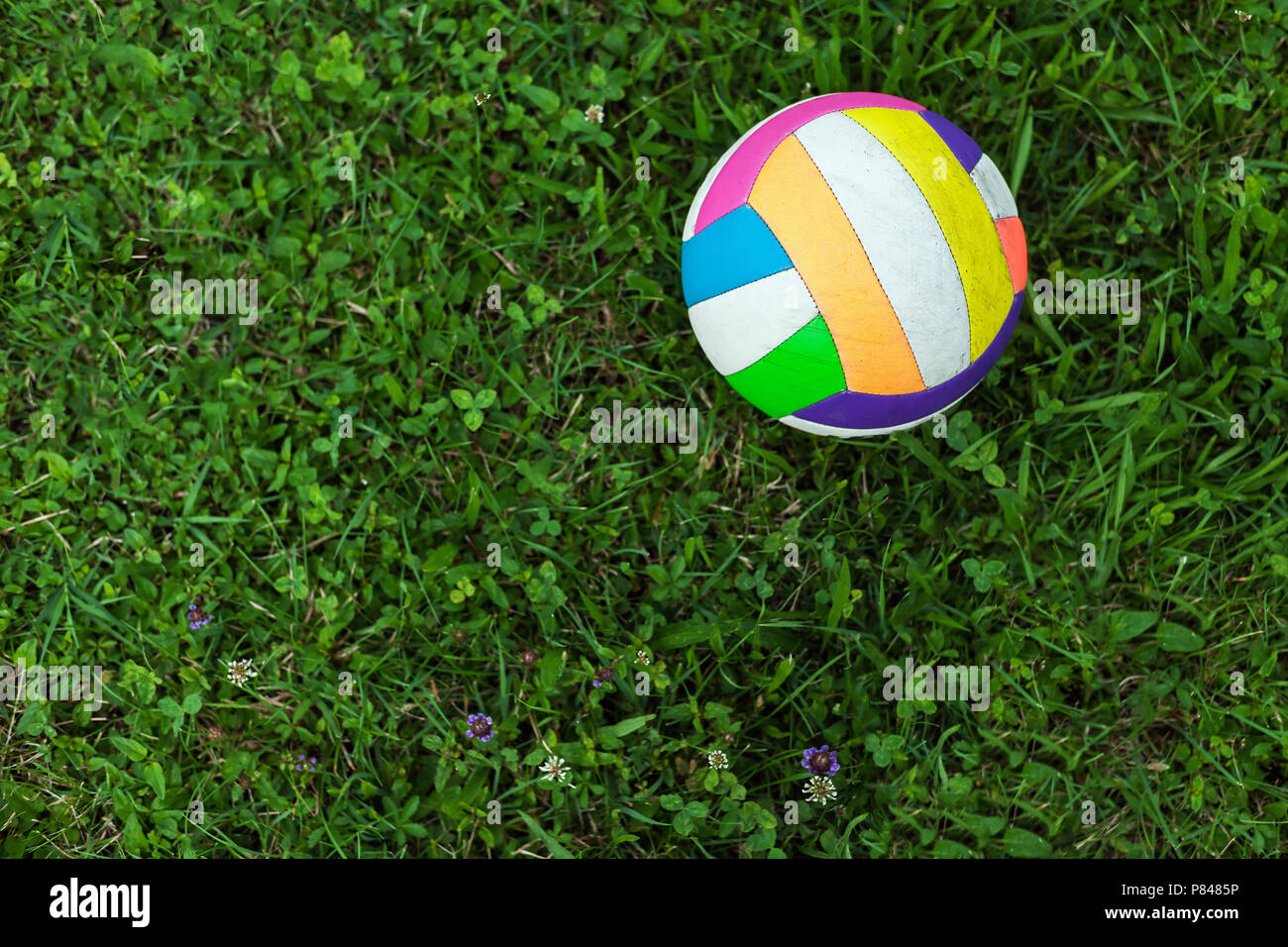 Nur Eine Bunte Volleyball Auf Gras Detailansicht Stockfotografie Alamy