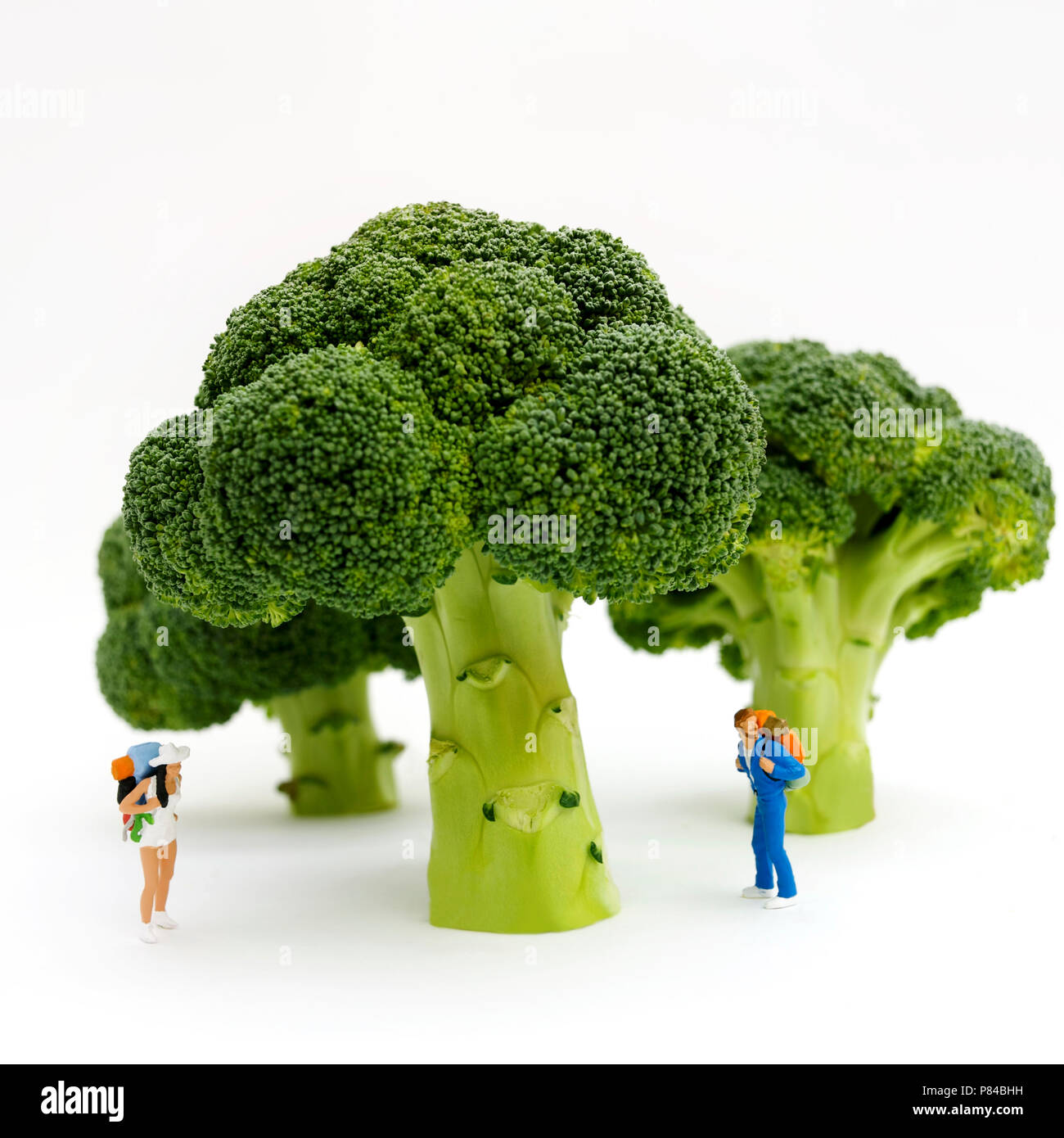 Figuren der Wanderer mit Brokkoli Bäume Stockfoto