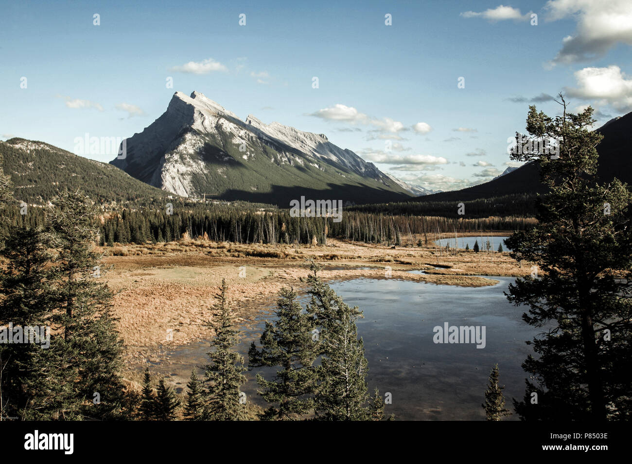 Mount Rundle in der Nähe von Banff, Alberta, Kanada Stockfoto
