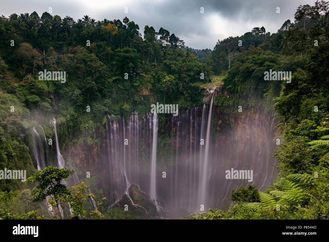 Tausend Wasserfall, Tumpak Sewu Malang Ostjava, Indonesien Stockfoto