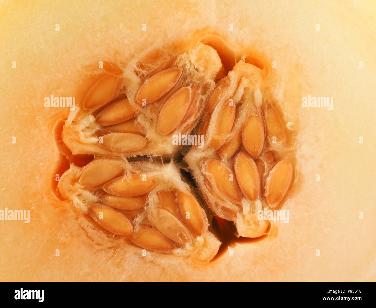 Nahaufnahme eines Honigmelone, gesunde Ernährung Konzept Hintergrund Stockfoto
