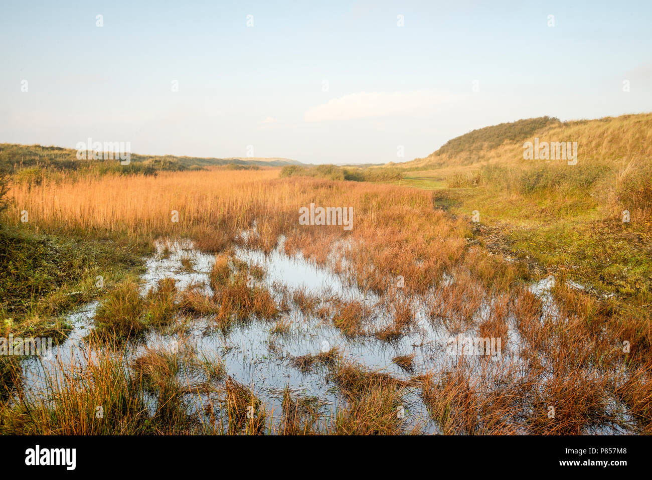 De Hors, Texel in hefsttinten, De Hors Texel im Herbst Stockfoto