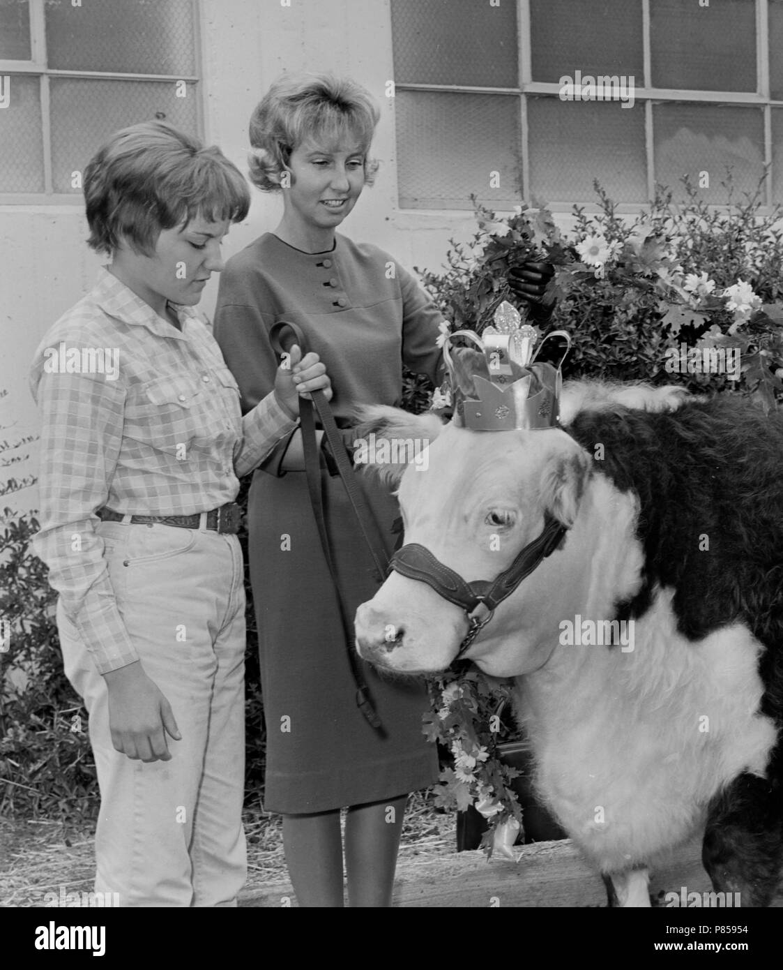 Ein junges Mädchen und ihre Mutter stand mit Krone - Tragen von Kuh zu einem fairen Wettbewerb in Kansas, Ca. 1965. Stockfoto