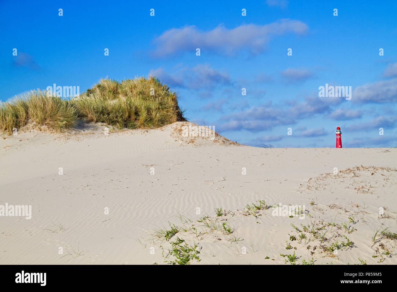 Dünen von der holländischen Insel Schiermonnikoog, in der Ferne die roten Leuchtturm, unter einem blauen Himmel mit einigen Wolken Stockfoto