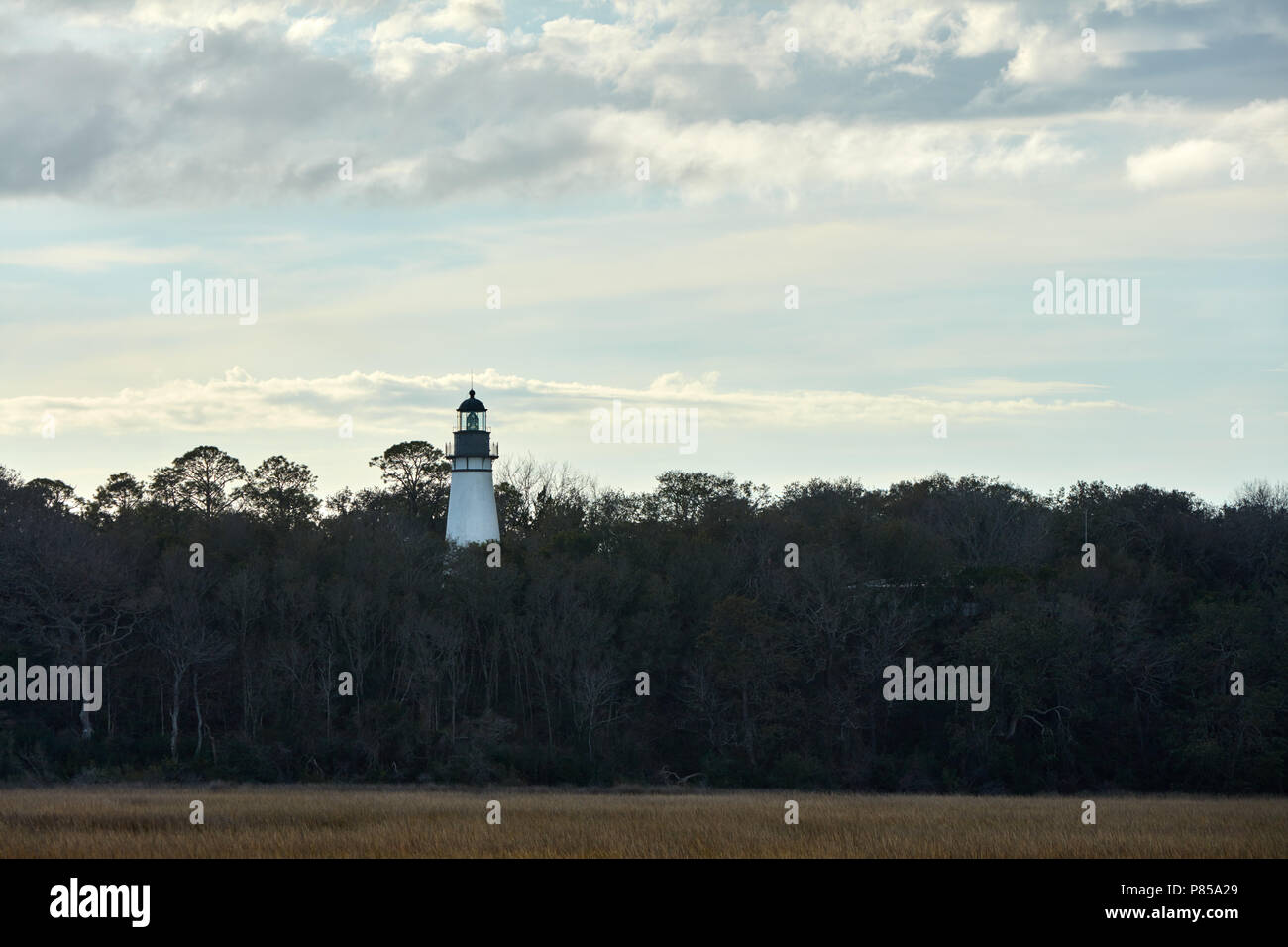 Amelia Island Leuchtturm ragt über die Bäume Stockfoto