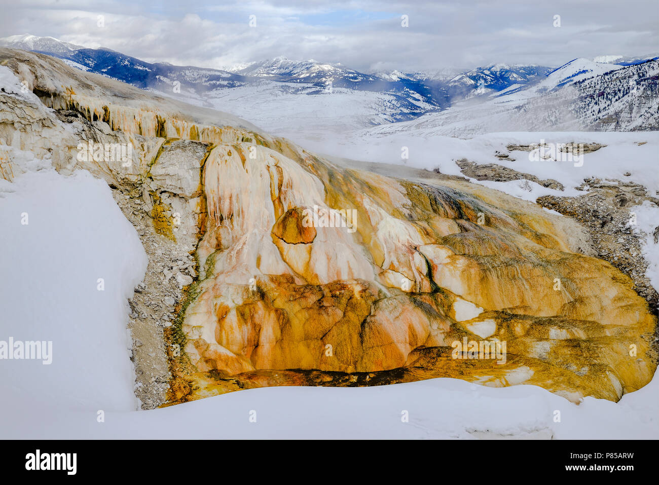 Algenbloei Mammoth Hot Springs oberen Terrassen Yellowstone Stockfoto