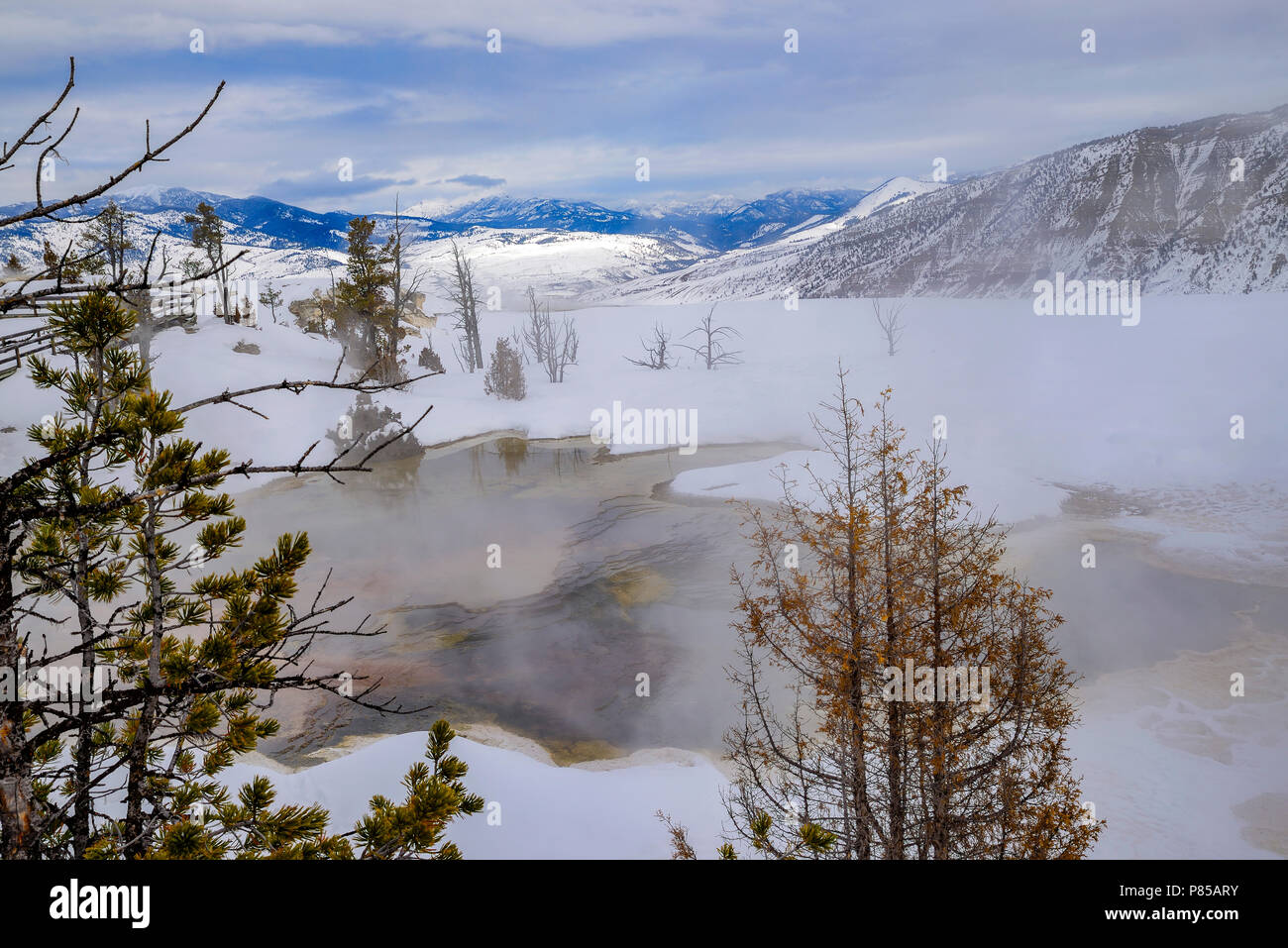 Mammoth Hot Springs Yellowstone Stockfoto