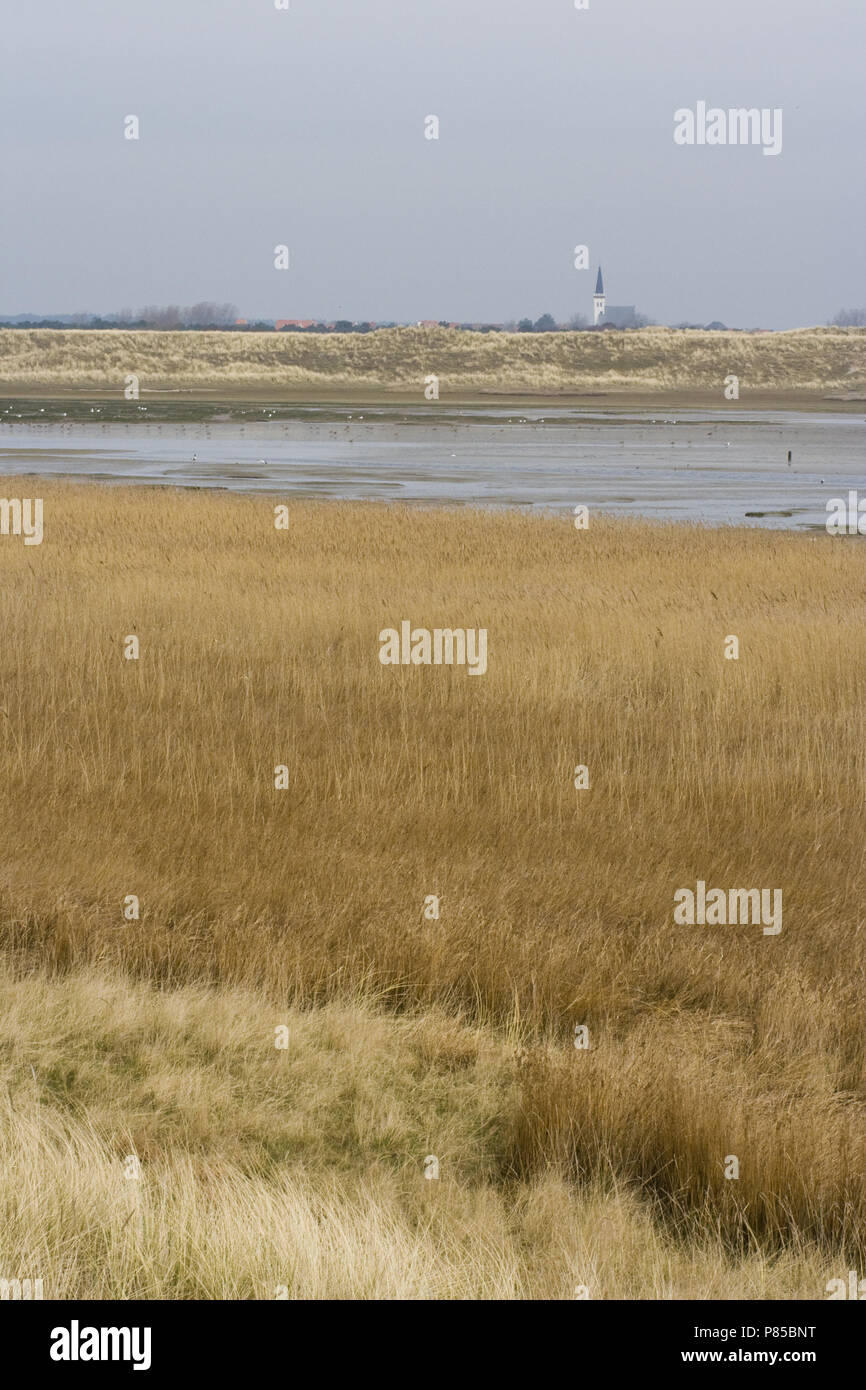 Ansicht der Mok baai NP Duinen van Texel Niederlande, Uitzicht op de Mok baai NP Duinen van Texel Nederland Stockfoto