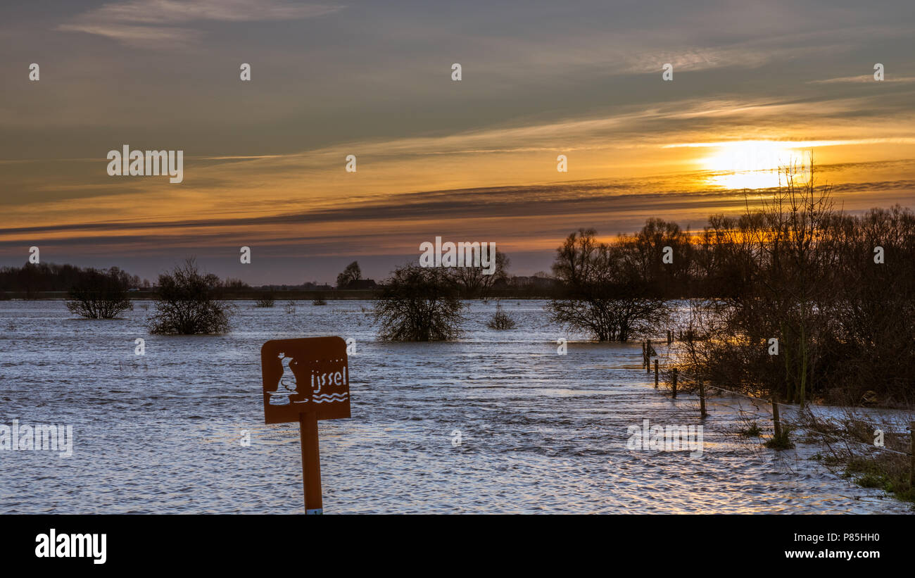 IJssel IJssel hoog Wasser, Wasser Stockfoto