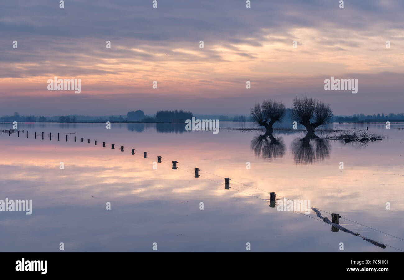 IJssel IJssel hoog Wasser, Wasser Stockfoto