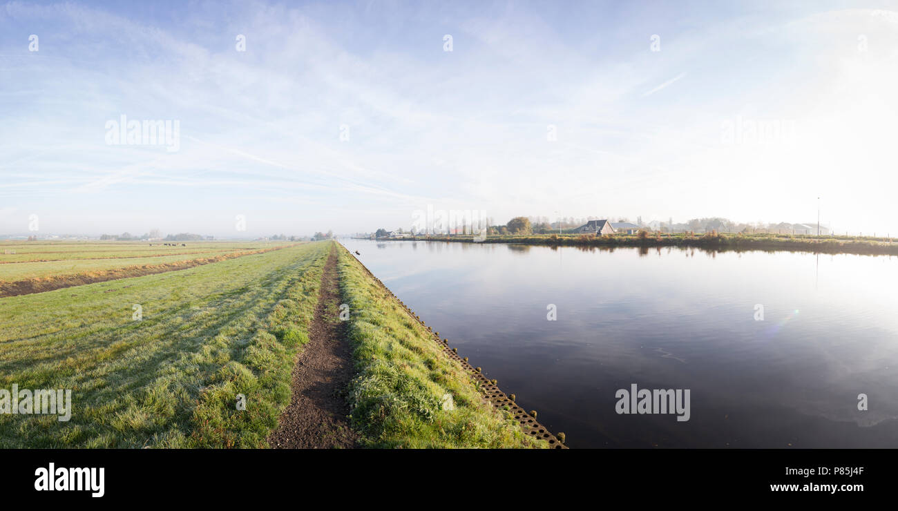 Vosse en weerlanerpolder Stockfoto