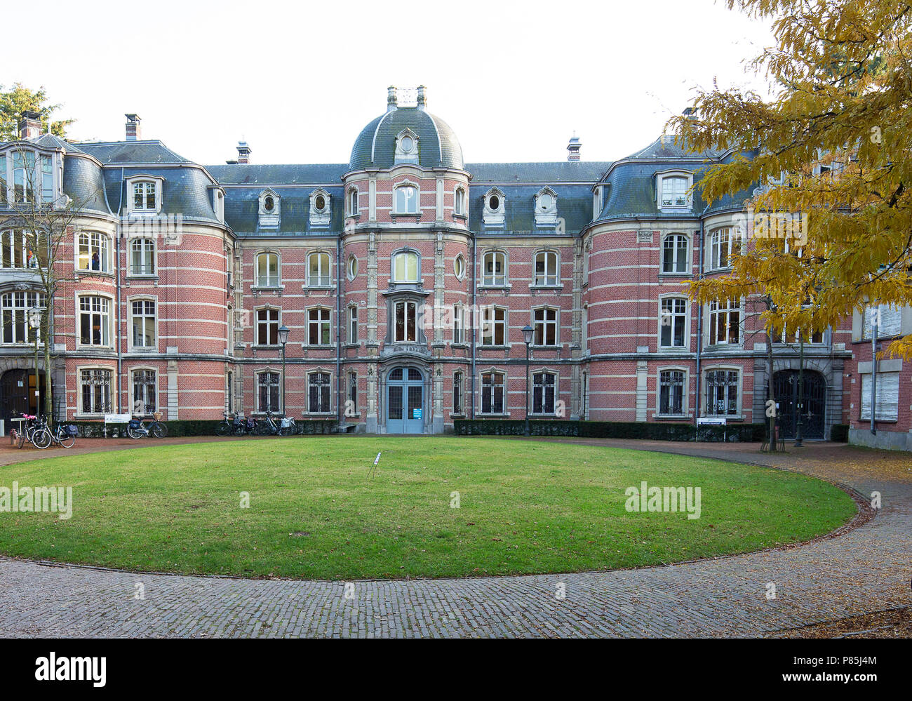 Herbst Landschaft Noord-Brabant, Niederlande Stockfoto