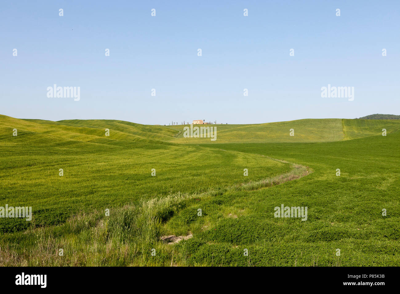 Val d ' Orcia, Toskana, Italien Stockfoto