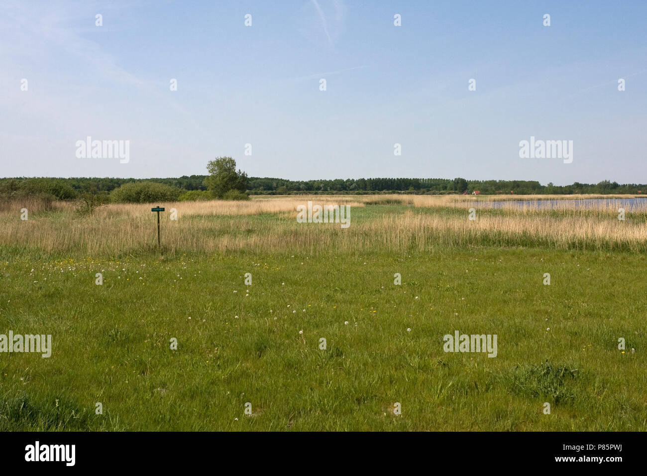 In de zomer, Lauwersmeer Lauwersmeer im Sommer Stockfoto