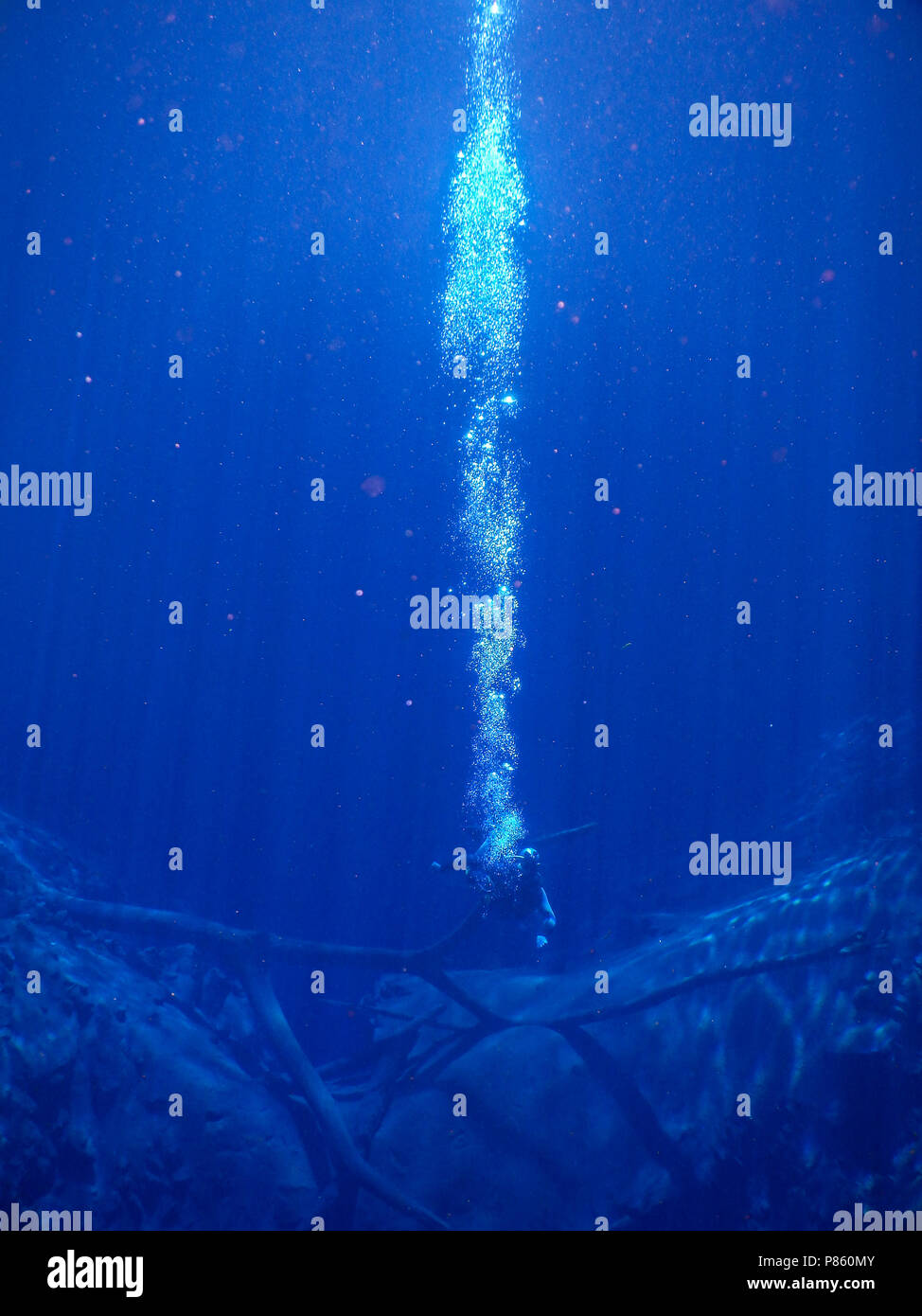 Üben Tauchen und Schnorcheln, geheimnisvolle Lagune, schöne Lagune von transparenten türkisblaues Wasser, gelegen in der Stadt von Bonito, Mato Grosso Stockfoto