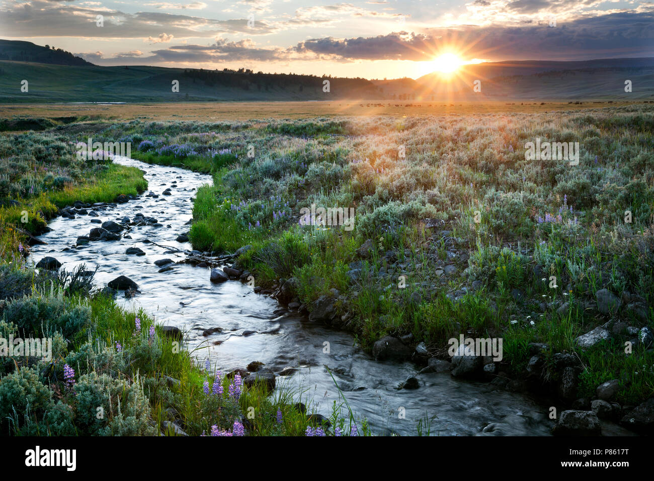 WY 02798-00 ... WYOMING - Sonnenuntergang im Yellowstone National Parks Lamar Tal. Wolken Stockfoto