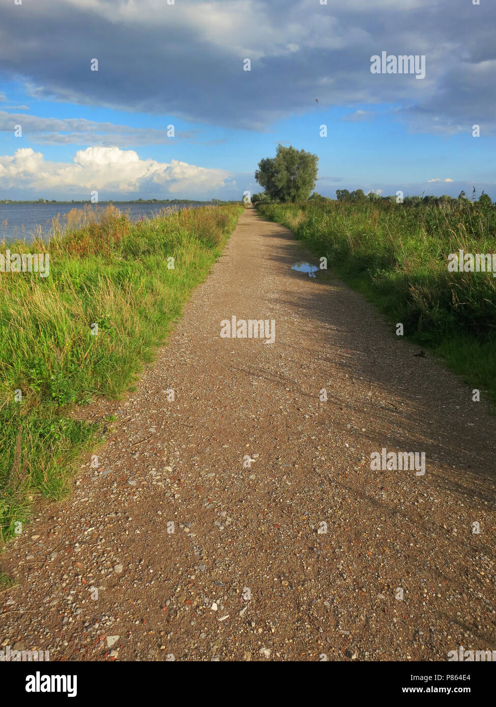 Wandelpad Reeuwijkse Plassen; Wandern; Nederland / Niederlande Stockfoto