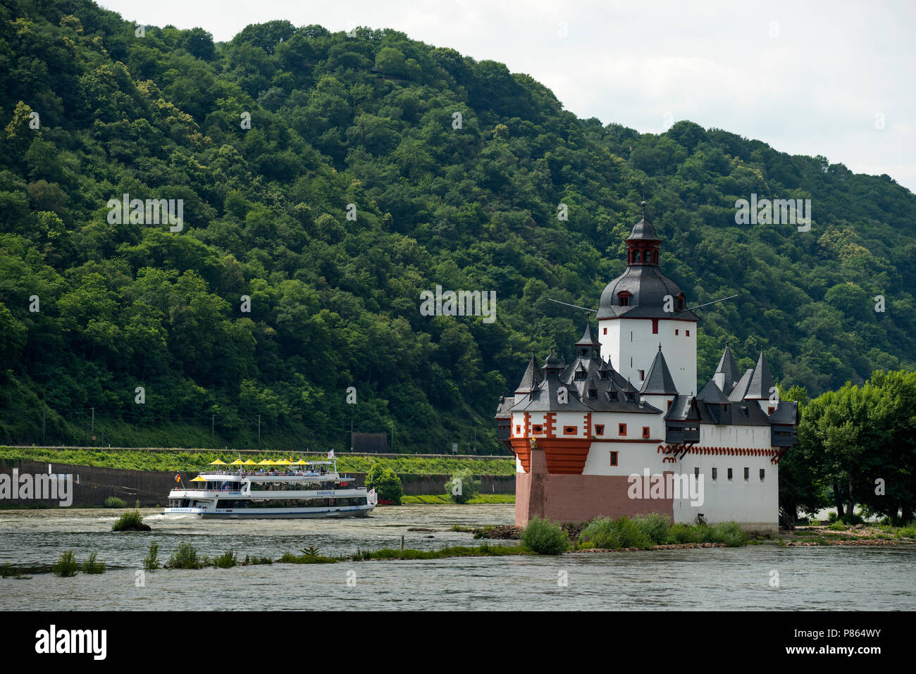 Burg Pfalzgrafenstein Burg Pfalzgrafenstein auf Falkenau Insel, Rhein, Hessen, Deutschland. Juni 2018. Burg Pfalzgrafenstein Burg Pfalzgrafenste Stockfoto