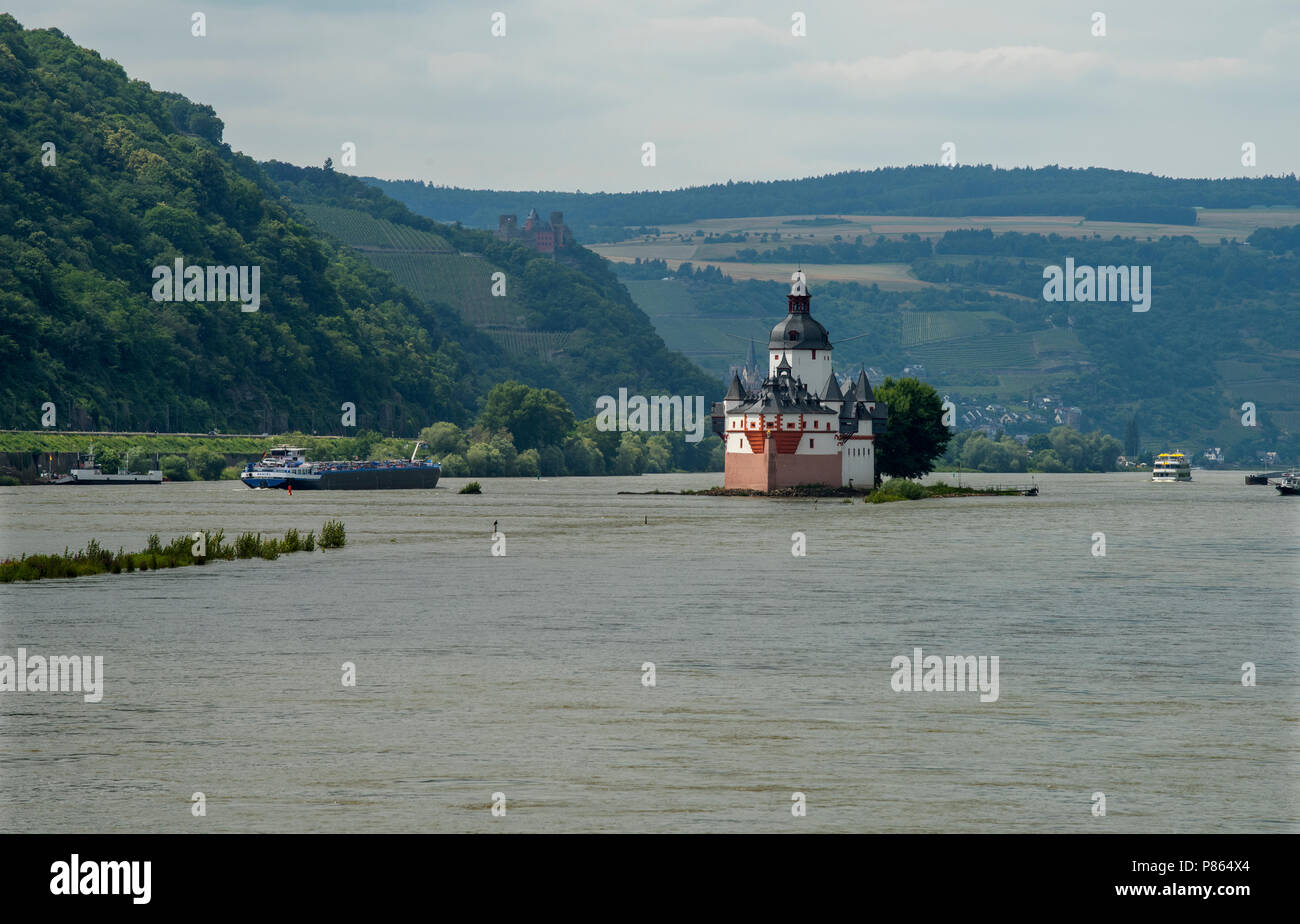 Burg Pfalzgrafenstein Burg Pfalzgrafenstein auf Falkenau Insel, Rhein, Hessen, Deutschland. Juni 2018. Burg Pfalzgrafenstein Burg Pfalzgrafenste Stockfoto