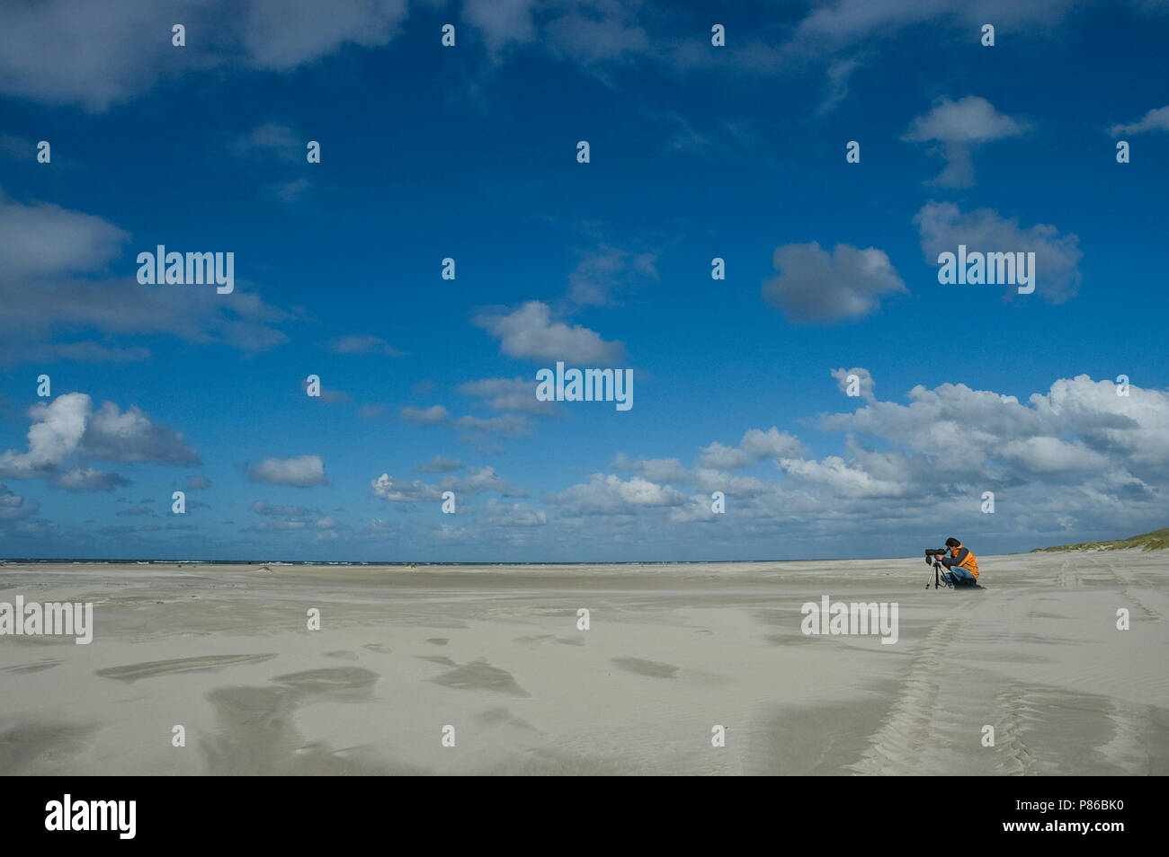 Vogelaar zittend op het Strand met Teleskopes; Birdwatcher sitzen am Strand mit Teleskop Stockfoto