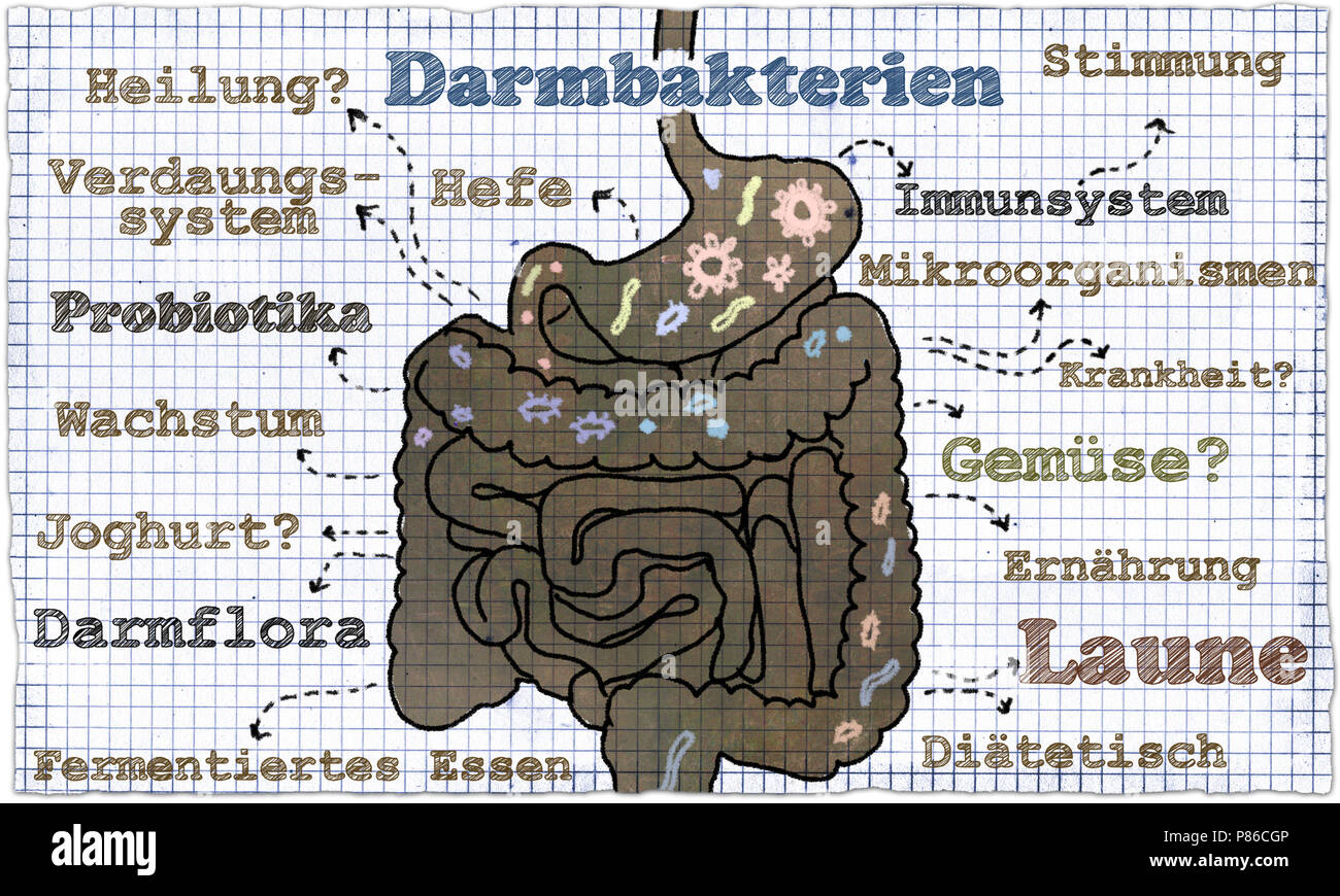 Magen darm bakterien -Fotos und -Bildmaterial in hoher Auflösung – Alamy