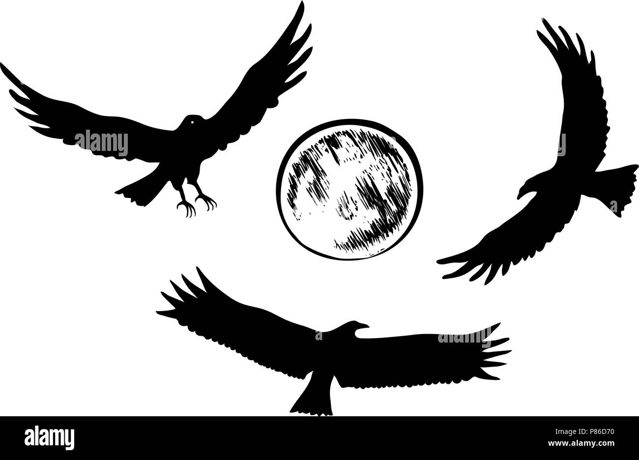 Fliegender Adler Silhouetten, Vektor, Abbildung Stock Vektor