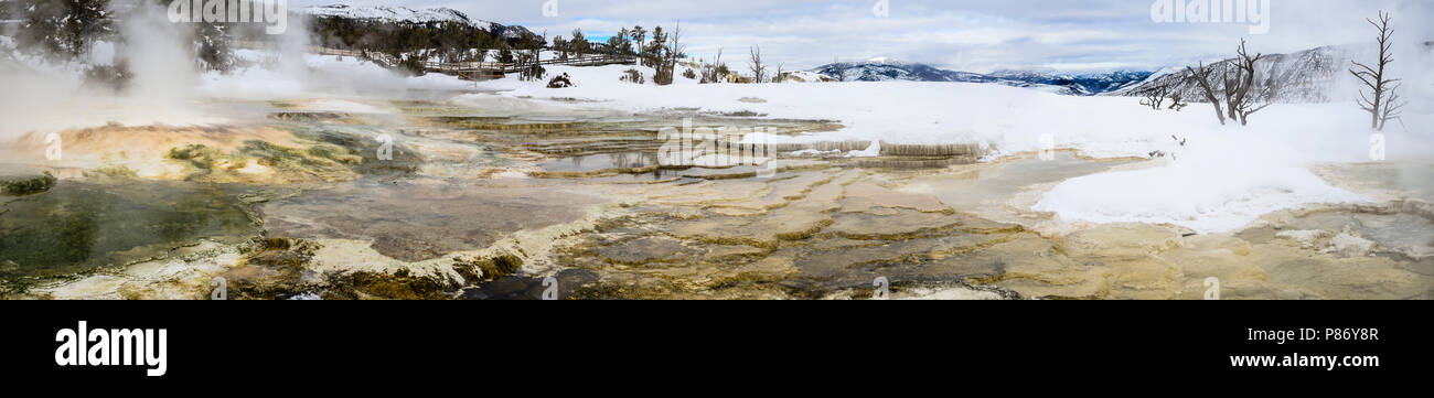 Panorama Mammoth Hot Springs oberen Terrassen Yellowstone Stockfoto