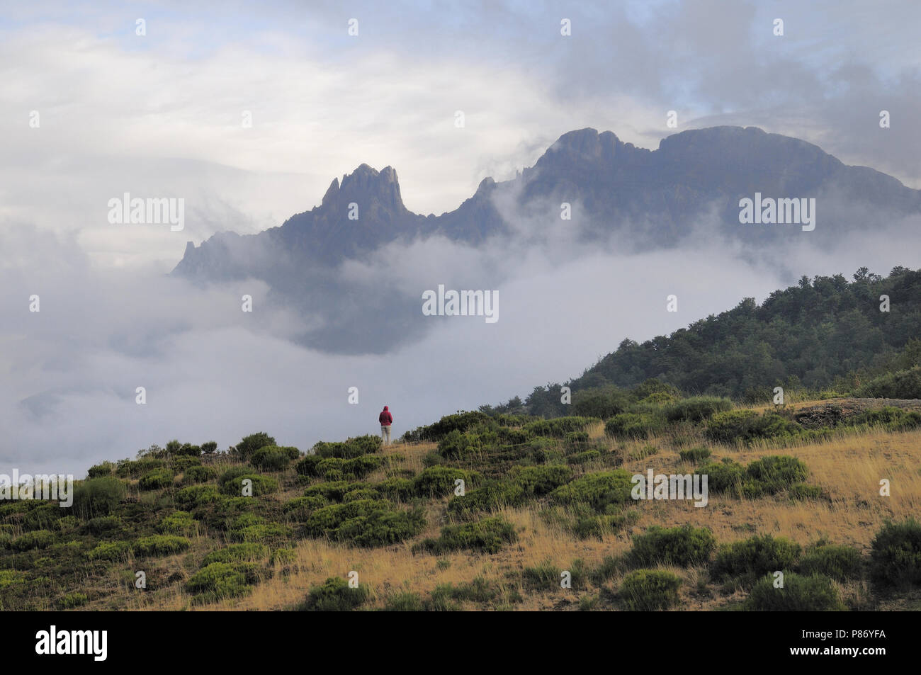 Picos de Europa, Spanien Stockfoto