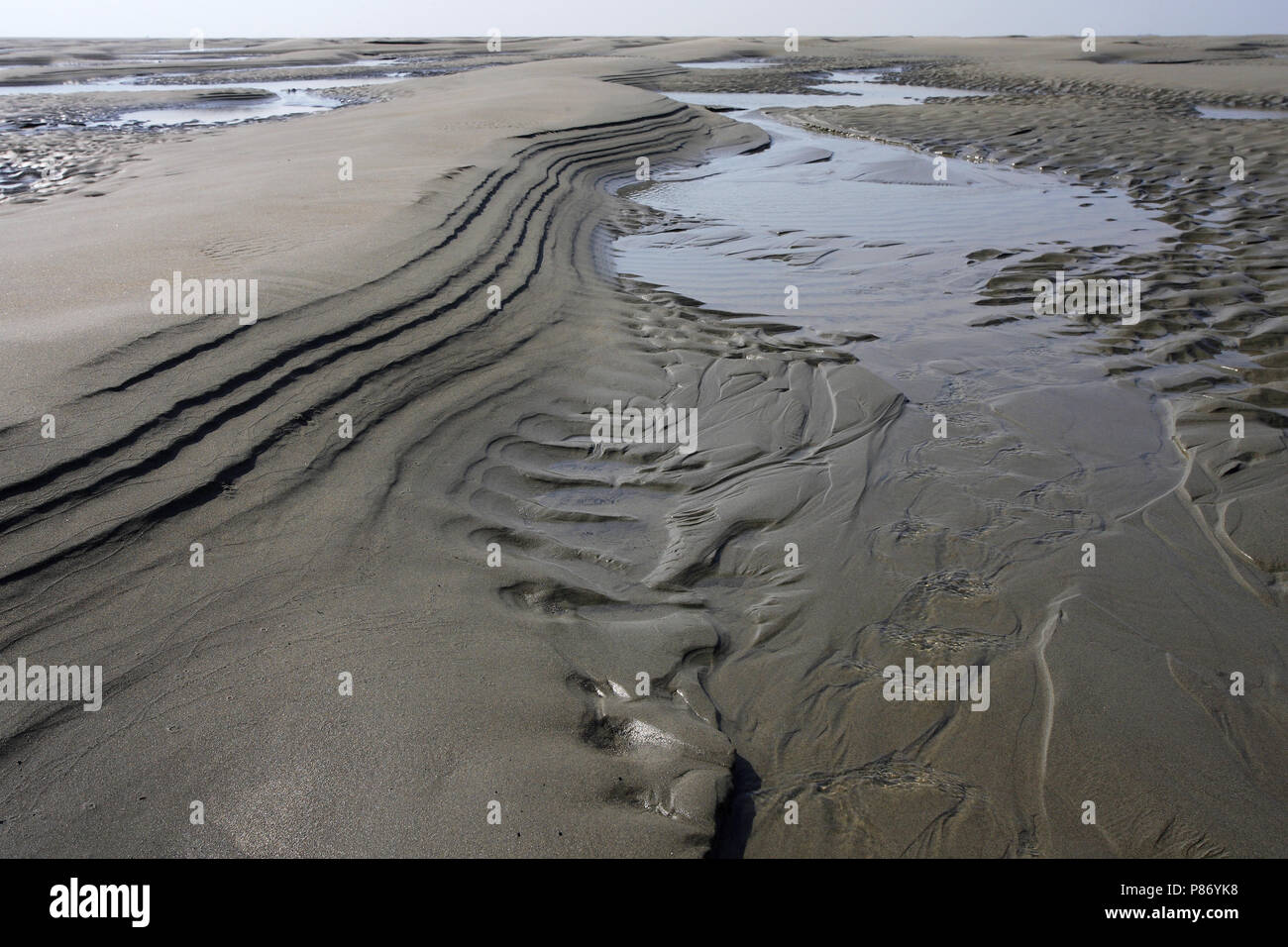 Plaat van Valkenisse in der Westerschelde Niederlande, Plaat van Valkenisse in de Westerschelde Nederland Stockfoto