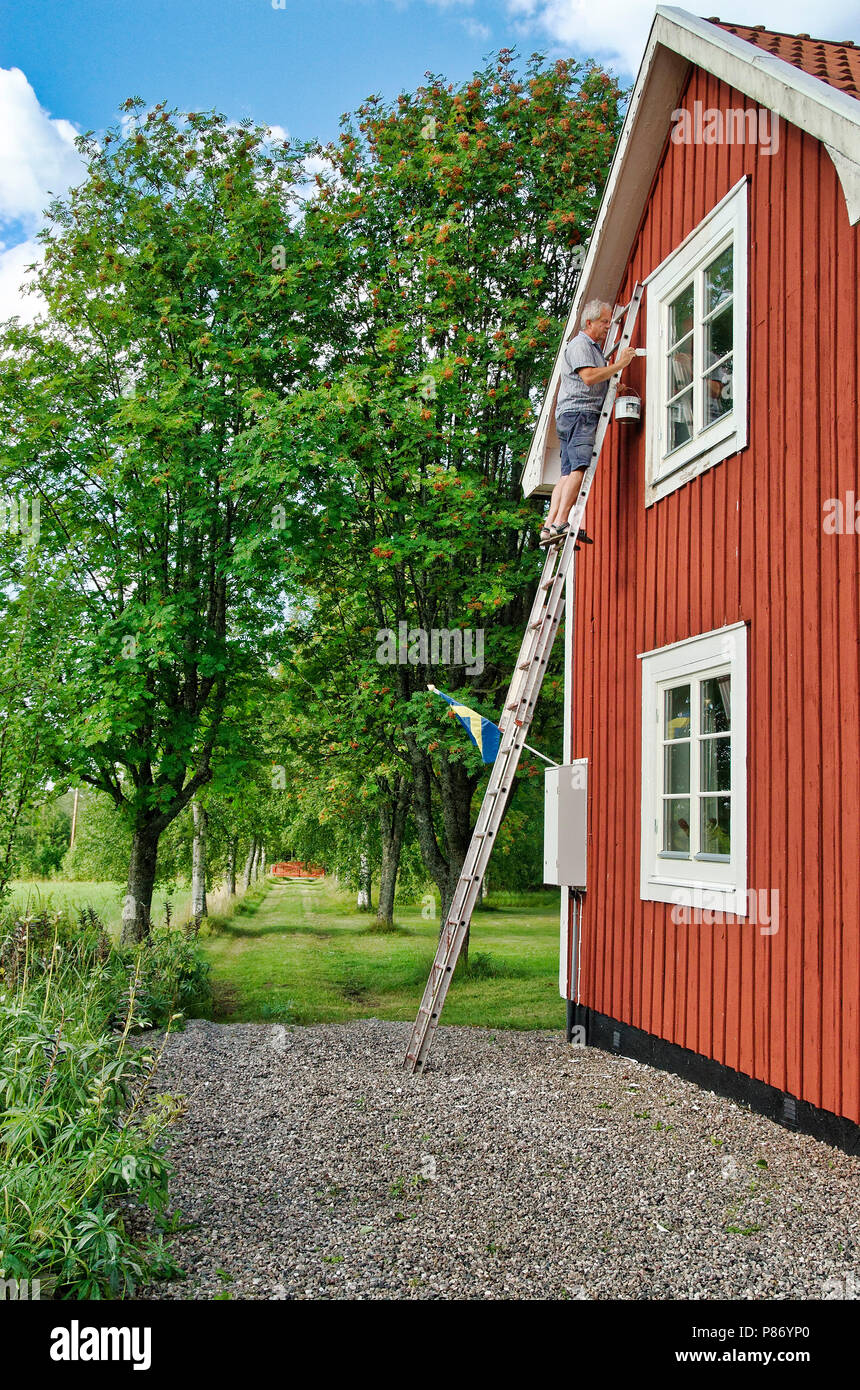 Mann auf einer Leiter der Renovierung einer roten Haus in Schweden Stockfoto