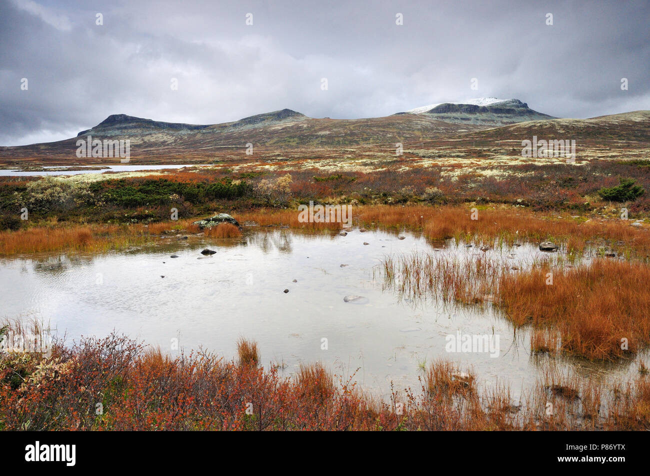 Herbst Landschaft Rondane, Norwegen Stockfoto