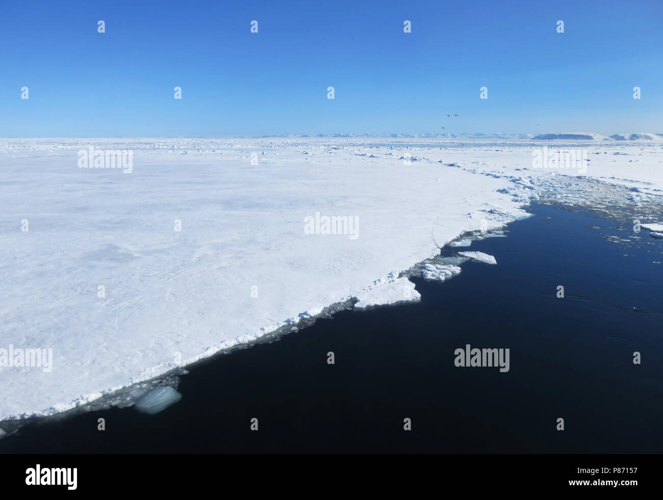 Pakijs, Spitzbergen, Packeis, Svalbard Stockfoto